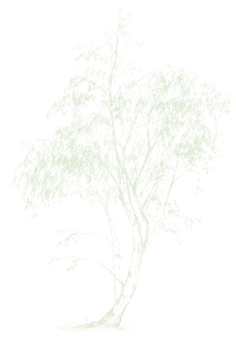 Birke-Logo der FeWo zur Birke